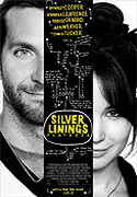 Silver Linings Playbook